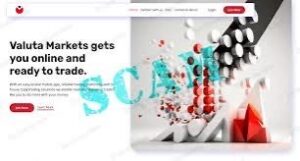 Valuta Markets