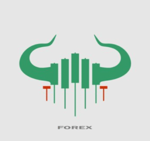 Bforex.com