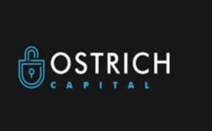 Ostrich Capital.com